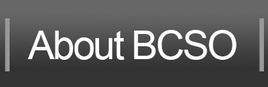 About BCSO button