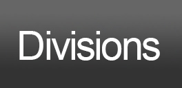 Divisions Button
